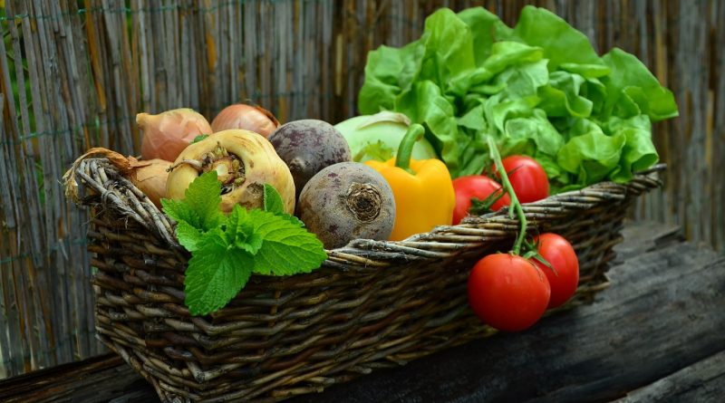 Quand planter les pommes de terre ?