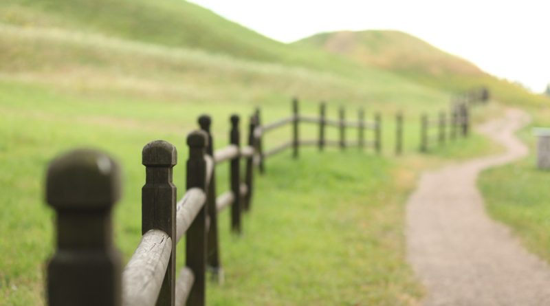 Pourquoi et comment traiter vos piquets en bois ?