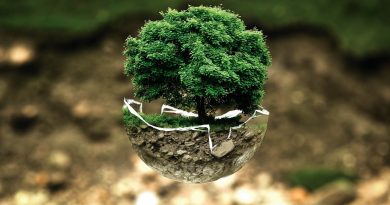 Les meilleurs moyens de suivre l'actualité environnementale