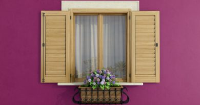 Des fenêtres bois pour un charme intemporel dans votre intérieur